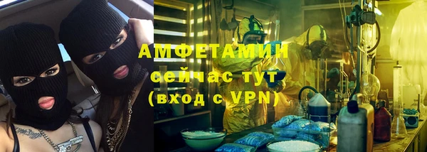 сатива Абаза