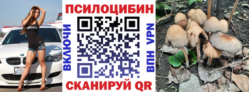 Галлюциногенные грибы MAGIC MUSHROOMS Сухиничи